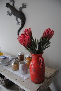 Kowie River Guest House, Port Alfred, Eastern Cape, SA - what a breakfast pleasure