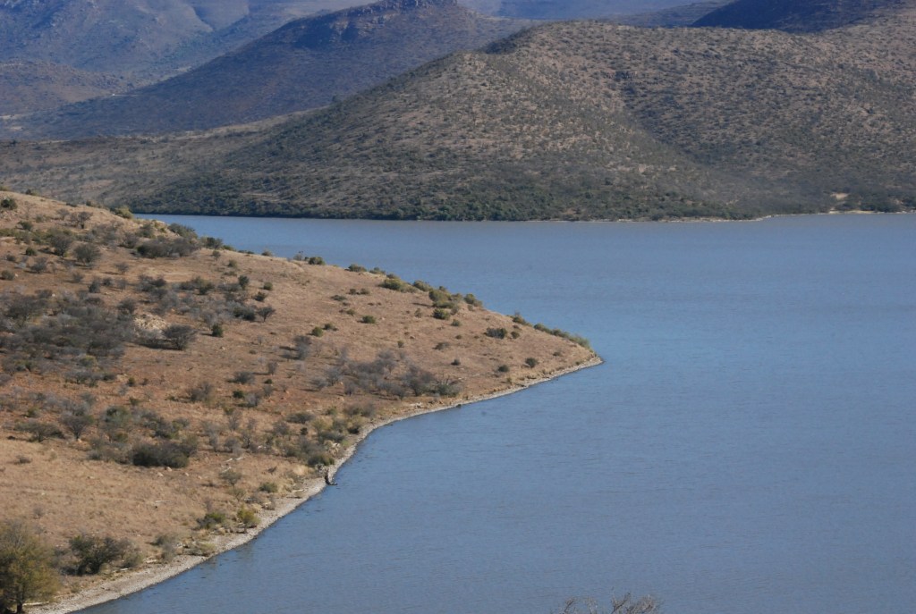 Tripping The Roads Fantastic