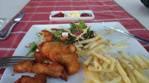 Franschhoek cell Mar 14 020