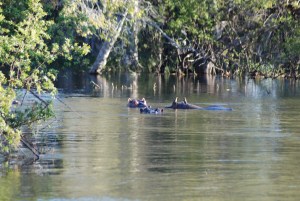 Zambia May 2014 Zoom 044