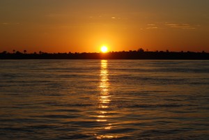 Zambia May 2014 Zoom 083