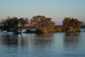 Zambia May 2014 Zoom 247