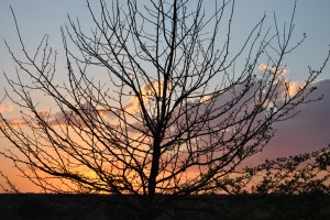 Leeuvenhof D3000 Oct 2014 027