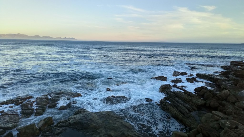 Fine Dining on the Rocks